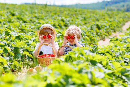 Unglaublich: “Bento”-Autorin verlangt Ende des Kinderkriegens – denn das ist “egoistisch”
