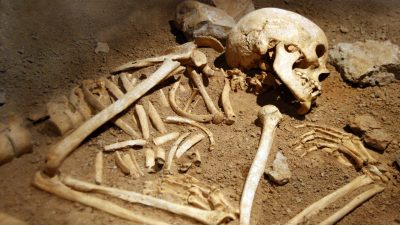 MPI-Forscher isolieren erstmals Neandertaler-DNA aus Höhlensedimenten