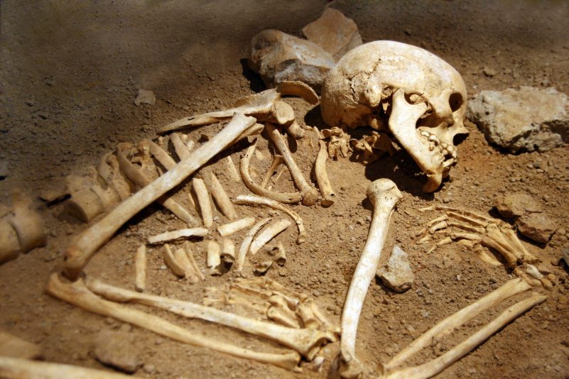 MPI-Forscher isolieren erstmals Neandertaler-DNA aus Höhlensedimenten