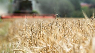Russland schränkt Getreideexport vorerst bis Ende Juni ein