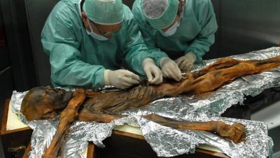 Neue Studie: Darmflora von Gletschermumie Ötzi zeigt, wie ungesund unsere Ernährung ist