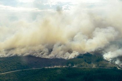 Große Waldbrände in Schweden außer Kontrolle