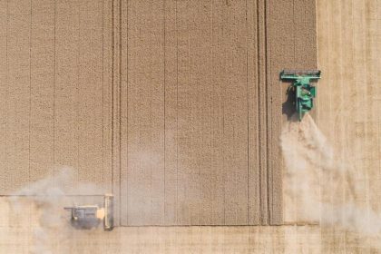 Wie schlimm sind die Dürre-Schäden bei der Ernte?