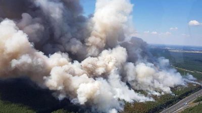 Fichtenwalde bedroht: Waldbrand ist unter Kontrolle – A9 bleibt geperrt – Stau auf A2, A9 und A10