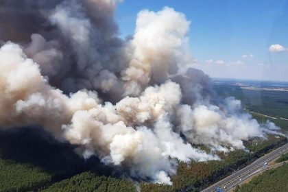 Fichtenwalde bedroht: Waldbrand ist unter Kontrolle – A9 bleibt geperrt – Stau auf A2, A9 und A10