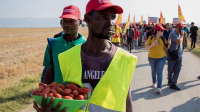 „Wir sind keine Sklaven“: Afrikanische und andere ausländische Landarbeiter protestieren in Süditalien gegen Ausbeutung