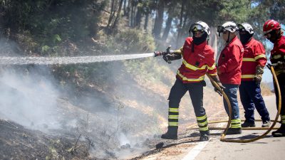 Feuer wütet auf griechischer Insel Euböa nahe Athen – Dörfer evakuiert