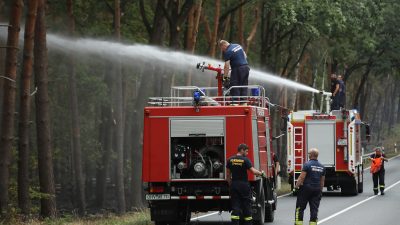 NEWSTICKER Waldbrand bei Berlin: Vize-Landrat: „Wir haben die Lage soweit im Griff“ – Spendenkonto eingerichtet