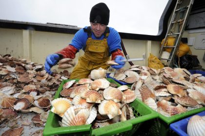 Zoff im Ärmelkanal: Französische Muschelfischer vertreiben Briten