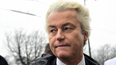 Angst vor islamistischer Gewalt: Wilders stoppt Mohammed-Karikaturenwettbewerb
