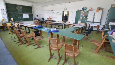 Hamburger Schulbehörde: AfD will Kinder zu Denunzianten machen