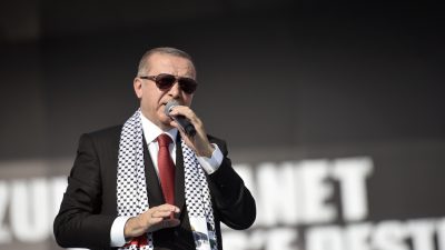 Streit mit den USA: Türkei will Hilfe von Deutschland und lässt weiter Deutsche verhaften