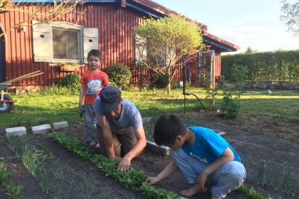 Livestream „Tag der offenen Gartenpforte“: Im Garten von Michael Hackmayer in Eden / Oranienburg