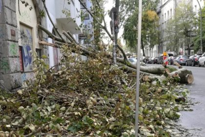Sturmwarnung: Am Sonntag trifft Sturmtief „Fabienne“ auf die Südhälfte Deutschlands – Zugbahn noch nicht ganz bekannt