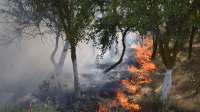 Waldbrand im Landkreis Kleve erfolgreich gelöscht