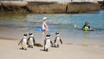 Wetteraussichten: Tief „Pamela“ bringt Sommerwetter-Mix