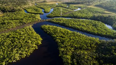 Armeeeinsatz gegen Amazonas-Brände zeigt Wirkung – Mehr als 60 Festnahmen und Strafen in Millionenhöhe