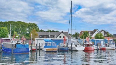 Vorsicht in der Lübecker Bucht: Feuerquallen unterwegs