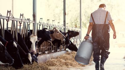 EU-Kommission: Staaten sollen Bauern finanziell entschädigen können – ohne vorher zu fragen