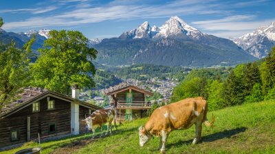 Berg-Boom: Bayerische Hüttenwirte mit Saison zufrieden