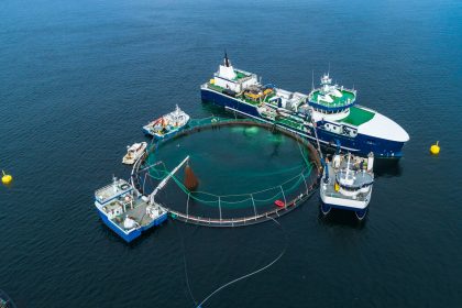 Futteralternative für Fischzucht in Aquakulturen