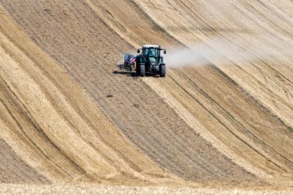 Bund unter Druck: Hilfe für Dürreversicherung gefordert