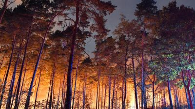 200 Hektar Wald stehen in Flammen: Großer Waldbrand in Brandenburg hält Einsatzkräfte in Atem