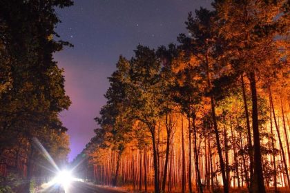 Waldbrand: Brandenburgs Innenminister vermutet Brandstiftung – Rund 300 Hektar stehen noch in Flammen