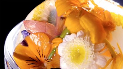 Phantastische Blüten-Eier in Gelee