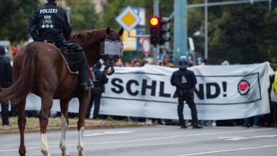 Hetzjagd-Debatte: AfD-Chef fordert Rücktritt von Seibert – Linken-Chefin fordert Rücktritt von Maaßen