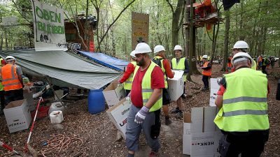 Hambacher Forst: Die Räumung geht weiter – Unterirdische Blockierer gaben auf – Demos vor Ort