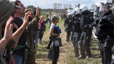 Greenpeace fordert „politische Lösung“ im Konflikt um den Hambacher Forst