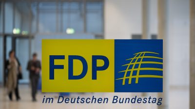 Die FDP will die Europäische Union an „Haupt und Gliedern“ reformieren