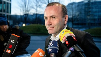Weber erhebt Vorwürfe gegen Macron: „Parteiinteressen werden über das Land und den Kontinent gestellt“