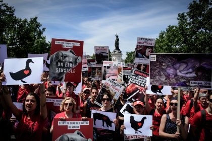 Frankreichs Züchter warnen vor Bürgerkrieg von militanten Tierschützern und Veganern