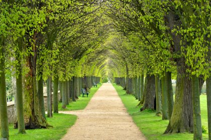 Ich bin zu Hause zwischen Tag und Traum – Von Rainer Maria Rilke