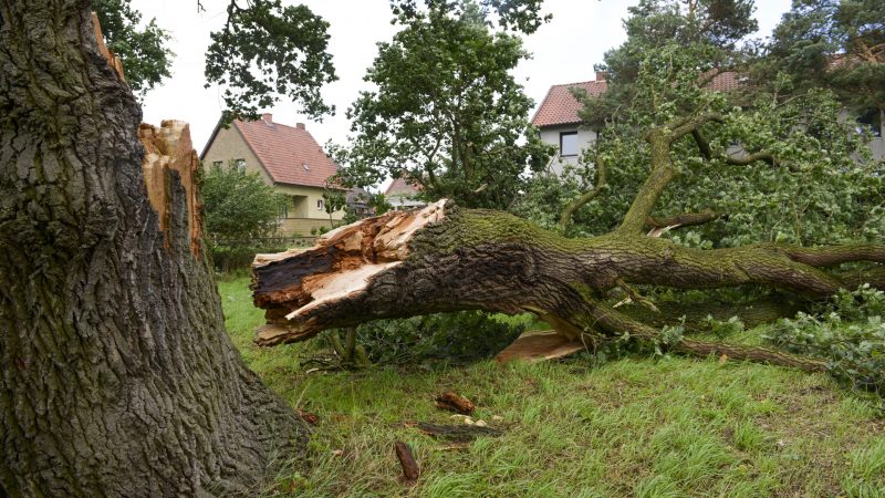 Sturmtief „Fabienne“ fordert Todesopfer und verursacht große Schäden