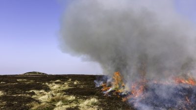 Ministerin räumt bei Besuch der Moorbrand-Region Fehler ein – Zwischenzeitlich brannte es auf 800 Hektar