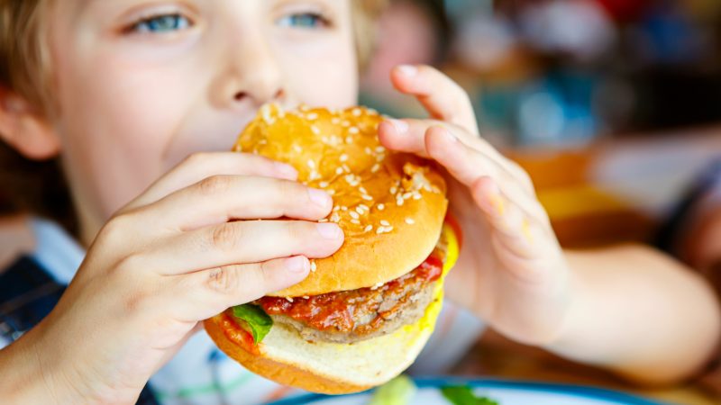 Eltern streiten an Hamburger Schule wegen Halal-Fleisch – Schulsenator bezieht Stellung