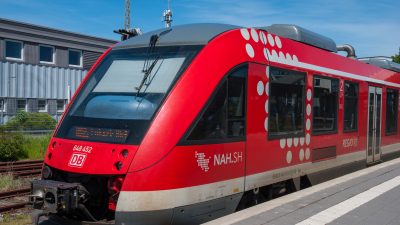 Deutsche Bahn steckt Milliarden in neue Züge – Linke fordert kostenlose Bahncard