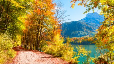 Wetteraussichten: Ein sonniges Herbstwochenende, in den Bergen kühl