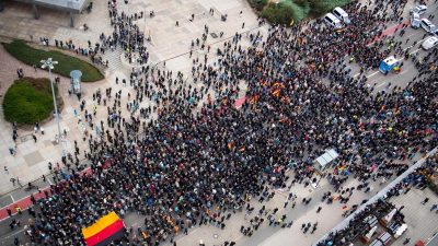 AfD-Mitglieder sollen künftig genauer bei Demonstrationen überlegen