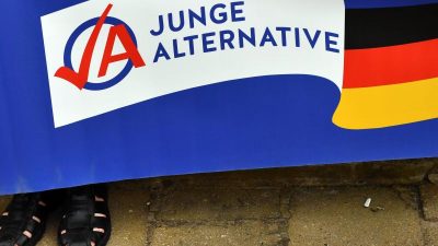 Neu gewählter Chef der AfD-Nachwuchsorganisation verlässt die Partei