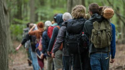 Umweltaktivisten kehren in Hambacher Forst zurück
