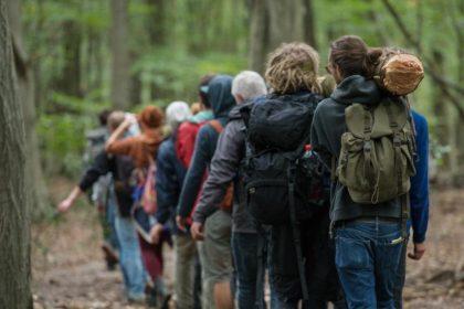 Gericht: Hambacher Forst darf vorläufig nicht gerodet werden