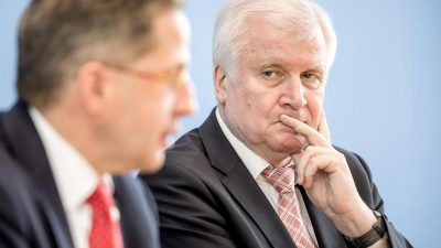 Seehofer besorgt über Auftritt von Rechtsradikalen in Chemnitz