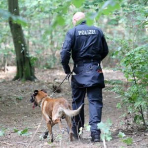 Achtjähriger spurlos verschwunden – Polizei setzt Suche am Sonntag fort