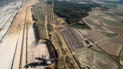 Streit um Hambacher Forst spaltet Kohlekommission – Räumung der Baumhäuser