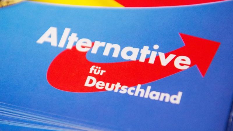 Buchhaltung der AfD-Bundestagsfraktion weist Ungereimtheiten in Büchern und Bilanzen auf