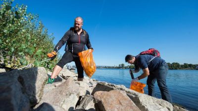 „Rhine Cleanup Day“: Tausende Helfer sammeln Müll am Rhein